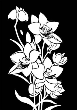 Siyah arkaplan üzerinde bir çiçek dalının beyaz grafik çizimi, tasarım