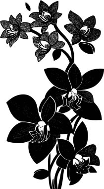Basit siyah çizim çizimi Orkide çiçeğinin silüeti, tasarım