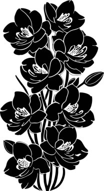 Basit siyah çizim çizimi Orkide çiçeğinin silüeti, tasarım