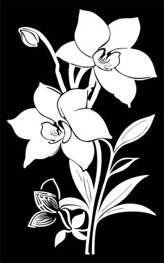 Siyah arkaplan üzerinde bir çiçek dalının beyaz grafik çizimi, tasarım