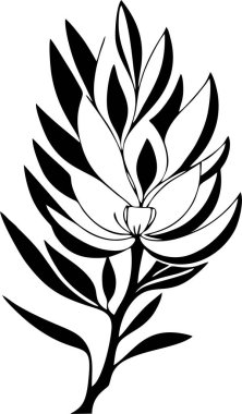 Manolya çiçeğinin, logonun, dövmenin basit siyah grafik tasarımı