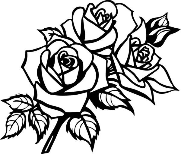 Beyaz zemin üzerinde bir gül çiçeğinin siyah grafik çizimi, izole element, dekor