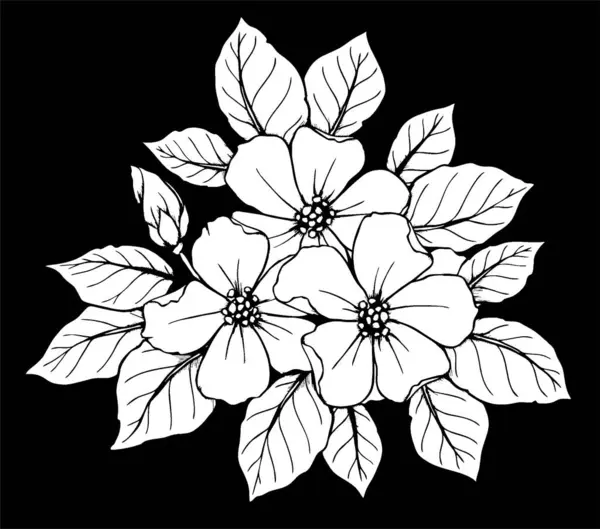 white contour drawing of a flower on a black background, logotype, monochrome design