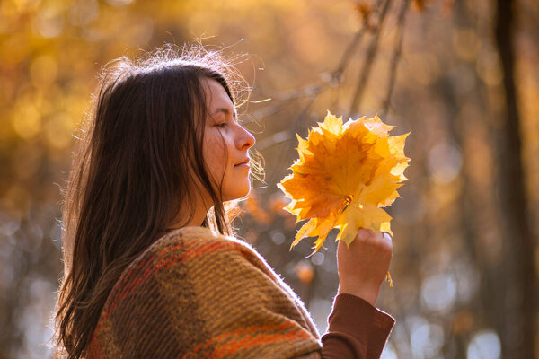 Beautiful Woman with Autumn collects yellow maple Leaves on Fall Nature Background backlit positive cheerful girl enjoy outside forest playing Portrait profile sweater sunlight lifestyle