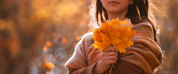 A hand holding yellow Canadian maple leaves in autumn forest brown background. Fallen season. Close up abstract natural beautiful girl young women ring backlit