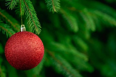 Noel ağacı arkaplanı Çocuk elinde yeşil kırmızı top oyuncağı süslemesi Yeni Yıl kutlamaları konsepti kopyalama uzayı kopyalamak için güzel bir kartpostal hazırlıyor.