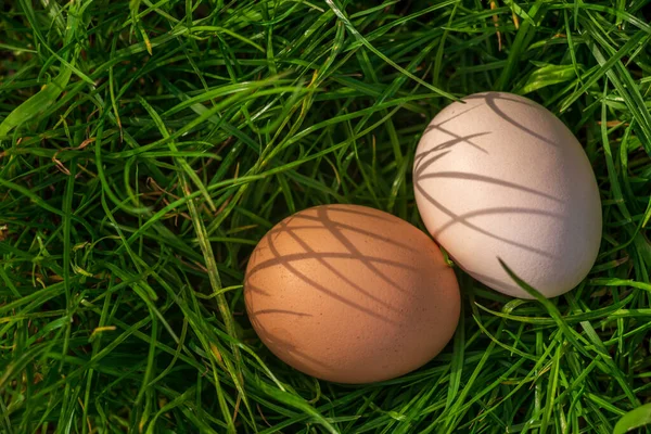 Raw Easter Concept White Eggs Green Grass Background Sunny Spring —  Fotos de Stock