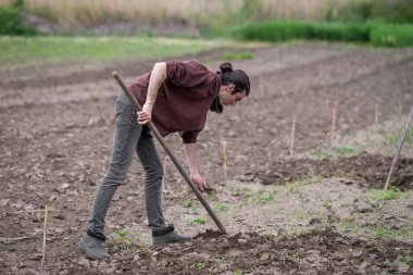 Sürdürülebilir organik tarım; çapalayan toprak, çapalayan adam çapa ile meyve bahçesi tarımı iki genç çiftçi bir bahçe kazıyor kırsal Moldova bahçesinde sebze biçiyor