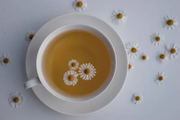Травяной Напиток Чай Свежими Цветами Ромашки Белый Чашка Скопировать Пространство — стоковое фото