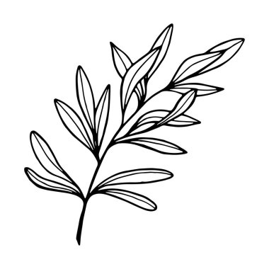 Sanatın doğal dalları elementleri bırakır. Vektör illüstrasyonu