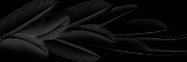 黒い羽のアート壁紙 家の装飾 バナー 印刷のための現代的な創造的なデザイン ベクターイラスト — ストックベクタ