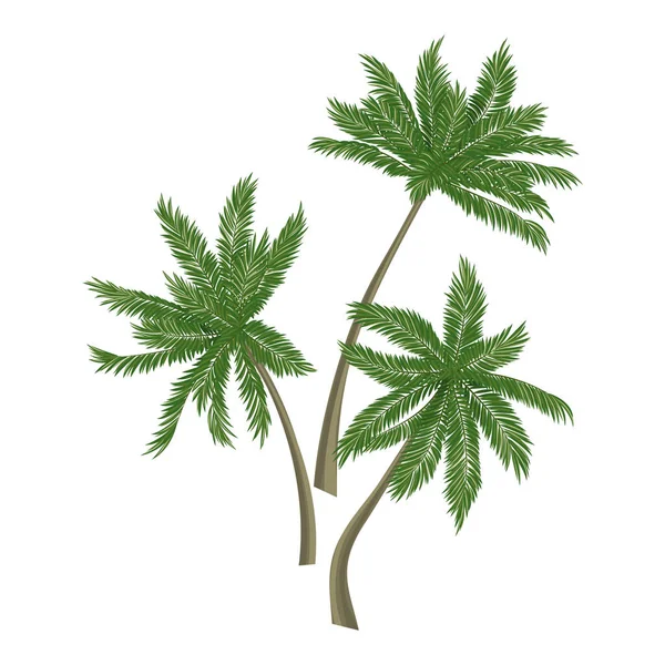 Dłoń Tropikalna Zielona Roślinność Kwiatowa Ilustracja Wektora — Wektor stockowy