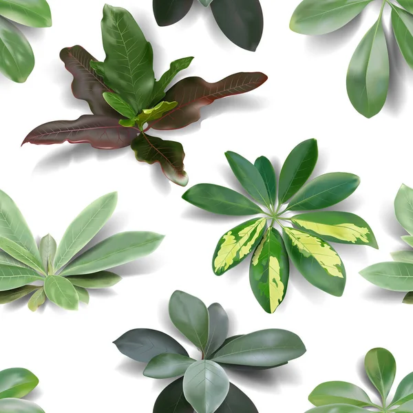 Nahtloses Muster Mit Realistischen Tropischen Blättern Vektorillustration — Stockvektor