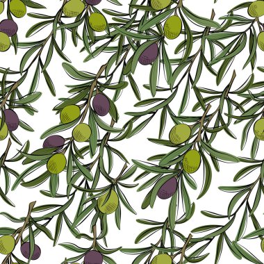 Zeytin dalları ile kusursuz desen. Vektör illüstrasyonu.