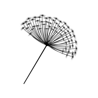 Çiçekli karahindiba beyaz arkaplanda izole edilmiş. Vektör illüstrasyonu