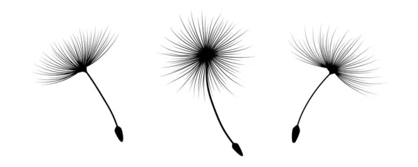 Цветы Одуванчик Изолированы Белом Фоне Векторная Иллюстрация — стоковый вектор