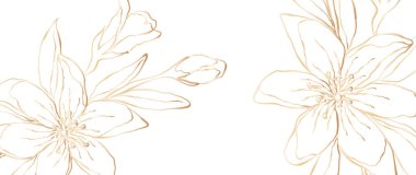 Çiçekli botanik sanat duvar kâğıdı. Ev dekorasyonu, afişler ve baskılar için modern yaratıcı tasarım. Vektör illüstrasyonu.