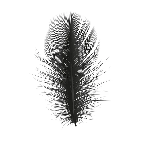 Feather Terisolasi Dengan Warna Putih Ilustrasi Vektor - Stok Vektor