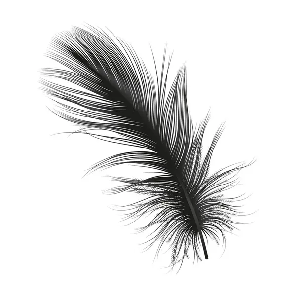 Feather Isolated White Vector Illustration — Stock Vector