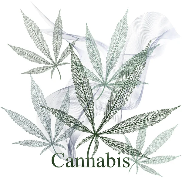 Geçmişi dumanlı ve tıbbi esrar yaprağıyla dolu. Marihuana. Vektör illüstrasyonu.