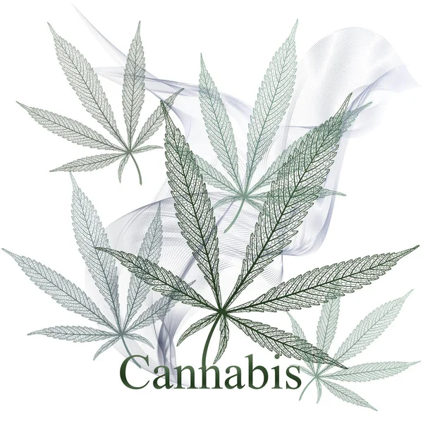 Antecedentes Com Fumo Folha Cannabis Medicinal Marijuana Ilustração Vetorial —  Vetores de Stock