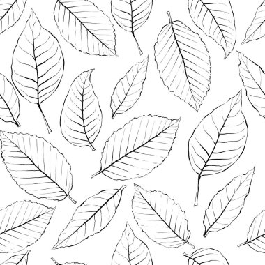 vektörsüz el çizimi deseni beyaz arkaplanda siyah bırakır