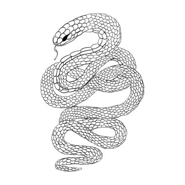 Yılan siyahı beyaz arka planda izole edilir. Çin Yeni Yılı 2025, Yılan Yılı. Vektör illüstrasyonu