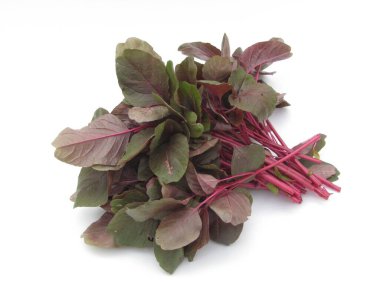 Beyaz arka plan üzerinde izole kırmızı ıspanak 