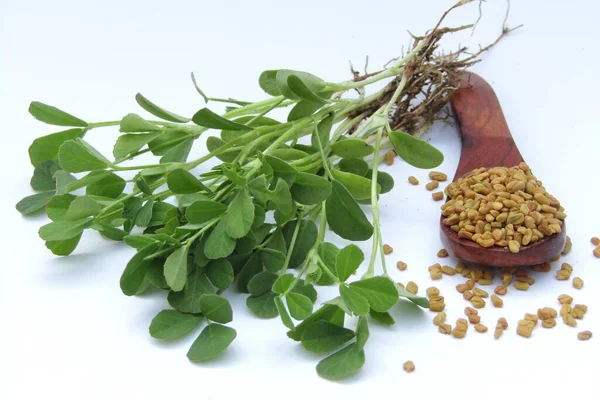 Beyaz arka planda Çemen bitkisi ve Çemen bitkisi tohumları 