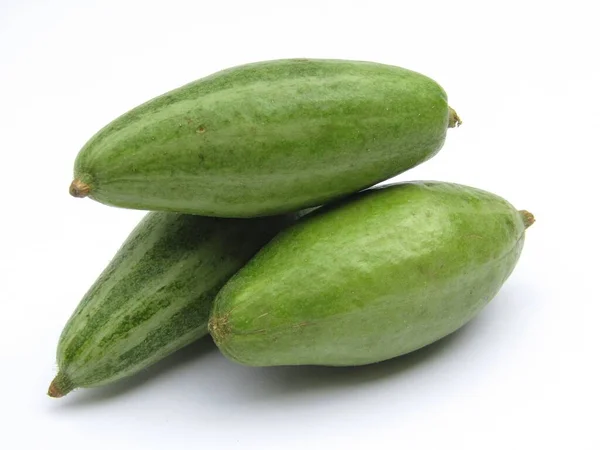 Fresh Green Pointed Gourd White Background — Stock Photo, Image