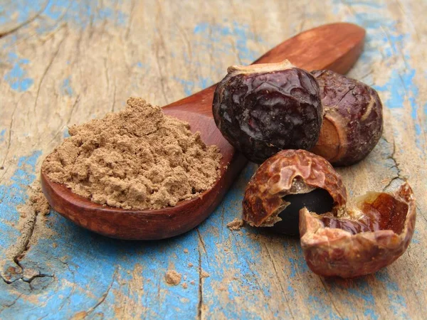 Sapindus mukorossi or Indian soapberry powder on a spoon 