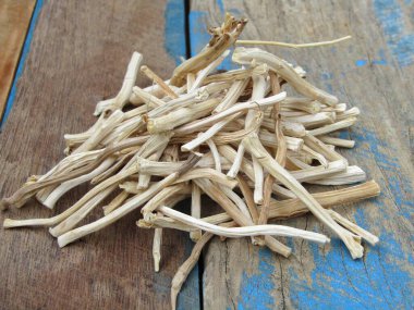 Asparagus racemosus or shatavari roots on wooden background 