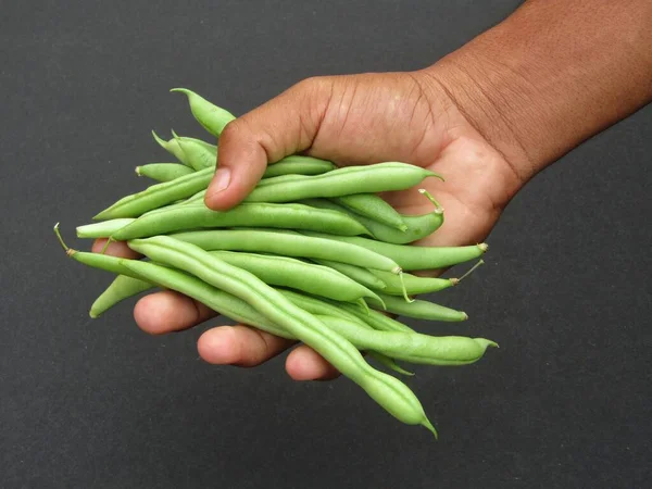 Een Paar Green Beans Een Hand Houden — Stockfoto