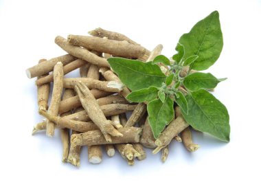 Somnifera ya da Ashwagandha kökleri ile beyaz arkaplanda yapraklar 