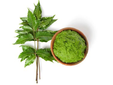 Beyaz arka plan görünümlü yaprakları olan bir kaseye yapıştır 