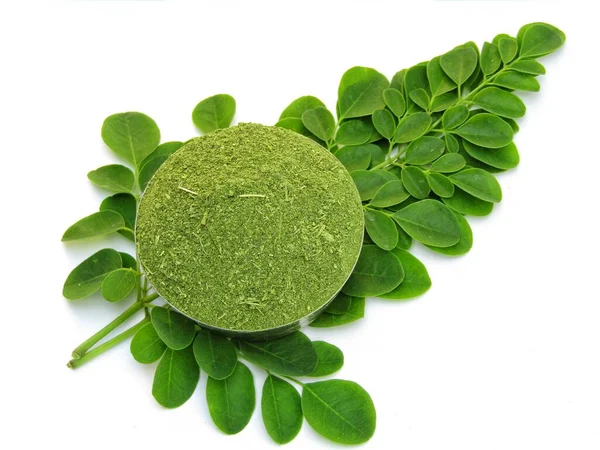 Moringa oleifera beyaz arka planda yaprakları olan bir kasede toz bırakır. 