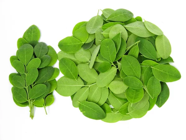 Moringa oleifera beyaz arkaplan yakın plan görüntüsünde bırakır 