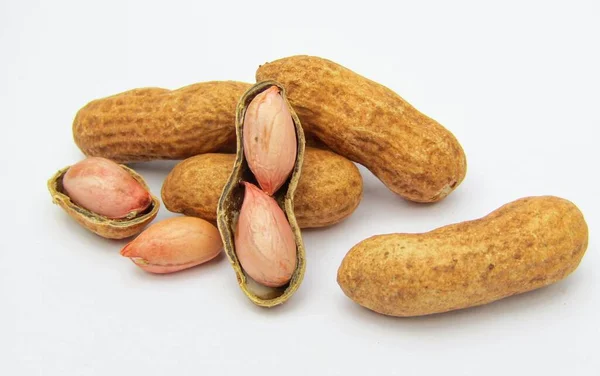 Beyaz arkaplan yakın plan görüntüsünde yer fıstıkları 