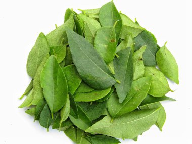 Beyaz arkaplanda taze köri yaprakları 