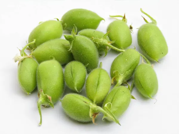 Groene Kikkererwten Vruchten Witte Achtergrond Close Uitzicht — Stockfoto
