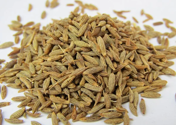 stock image Cumin seeds close-up view 