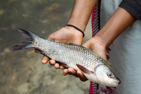 Holding a fish with hand close-up view