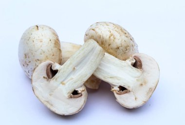 Beyaz arka planda beyaz mantarlar 