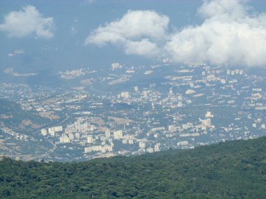               Yunus havuzda yüzüyor, ağzı açık ve dili açık..