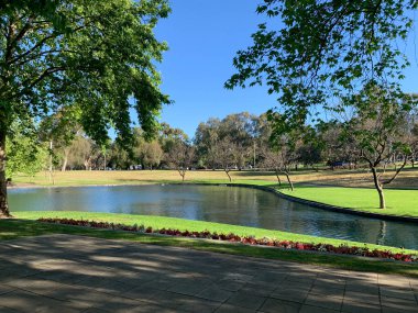 Adelaide city park. High quality photo