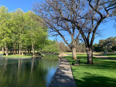 Adelaide city park. High quality photo