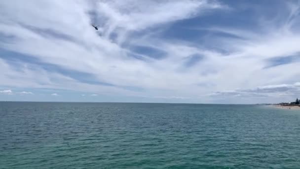 Penyelamatan Penjaga Pantai Laut Depan Gelombang Besar Mencari Peselancar Rekaman — Stok Video