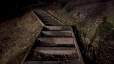 Karanlık Orman Panoraması, geceleri büyülü ormanın içindeki patika. Yüksek kalite 4k görüntü