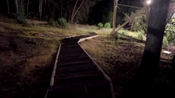 Темно Лесная Панорама Путь Волшебный Страшный Лес Ночью Высококачественные Кадры — стоковое видео