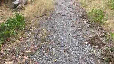 Kırsal çakıl yolu. Yüksek kalite 4k görüntü